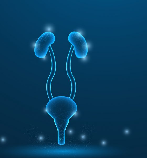 Urologista Goiânia - Conheça qual o uso da cirurgia robótica nos tumores renais