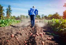 Jornal Opinião Goiás - Instrução Normativa define novo método de classificação do solo no Zoneamento Agrícola