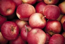 Agronegócio Notícias - Mapa e ApexBrasil lançam estudo sobre mercado de maçãs na Colômbia