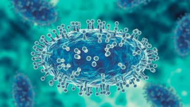 Jornal Opinião Goiás - Fiocruz registra imagens de replicação do vírus monkeypox em célula