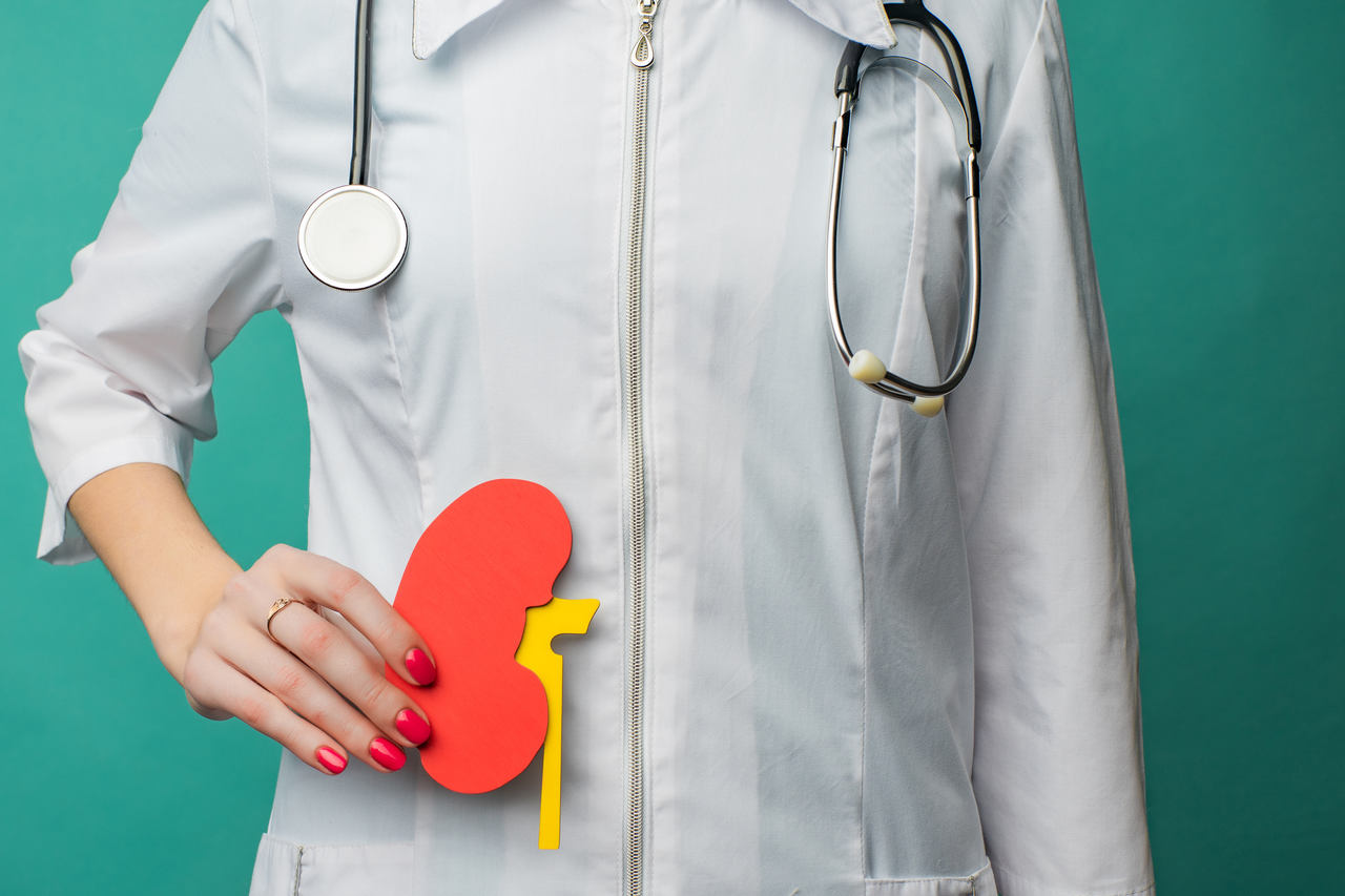 Urologia Goiânia - Quais as principais doenças renais?