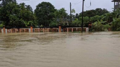 Jornal Opinião Goiás - Pesquisa identifica locais com maior risco de inundação