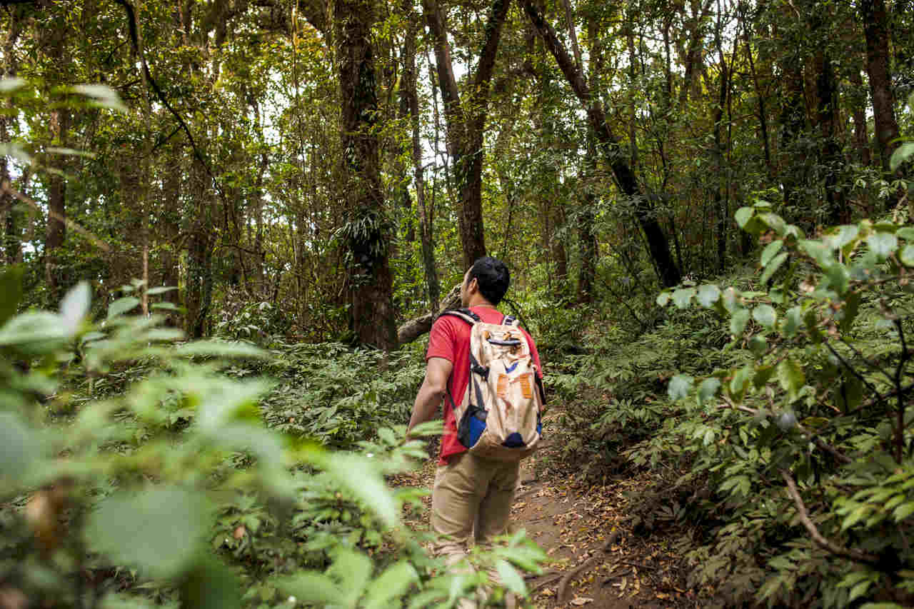 Jornal Opinião Goiás - Prospecção contribui para aumento de trilhas na Mata Atlântica