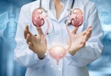 Urologista Aparecida de Goiânia - Quais os principais cânceres urológicos?