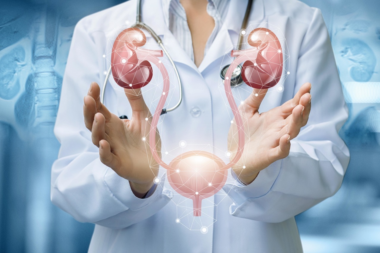 Urologista Aparecida de Goiânia - Quais os principais cânceres urológicos?