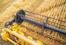 Jornal Opinião Goiás - Conab estima produção de grãos em 315,8 milhões de toneladas