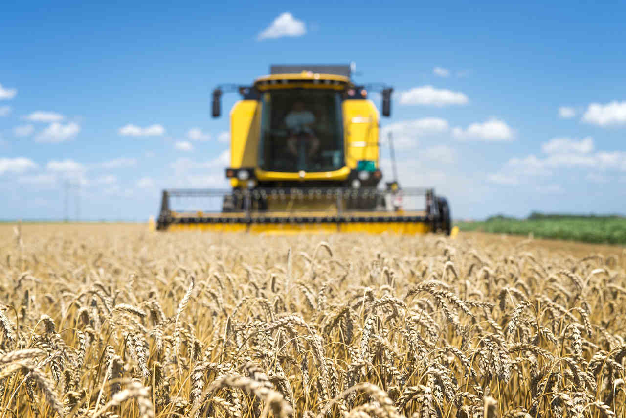 Jornal Opinião Goiás - Queda na importação de fertilizantes não afeta agro em Goiás