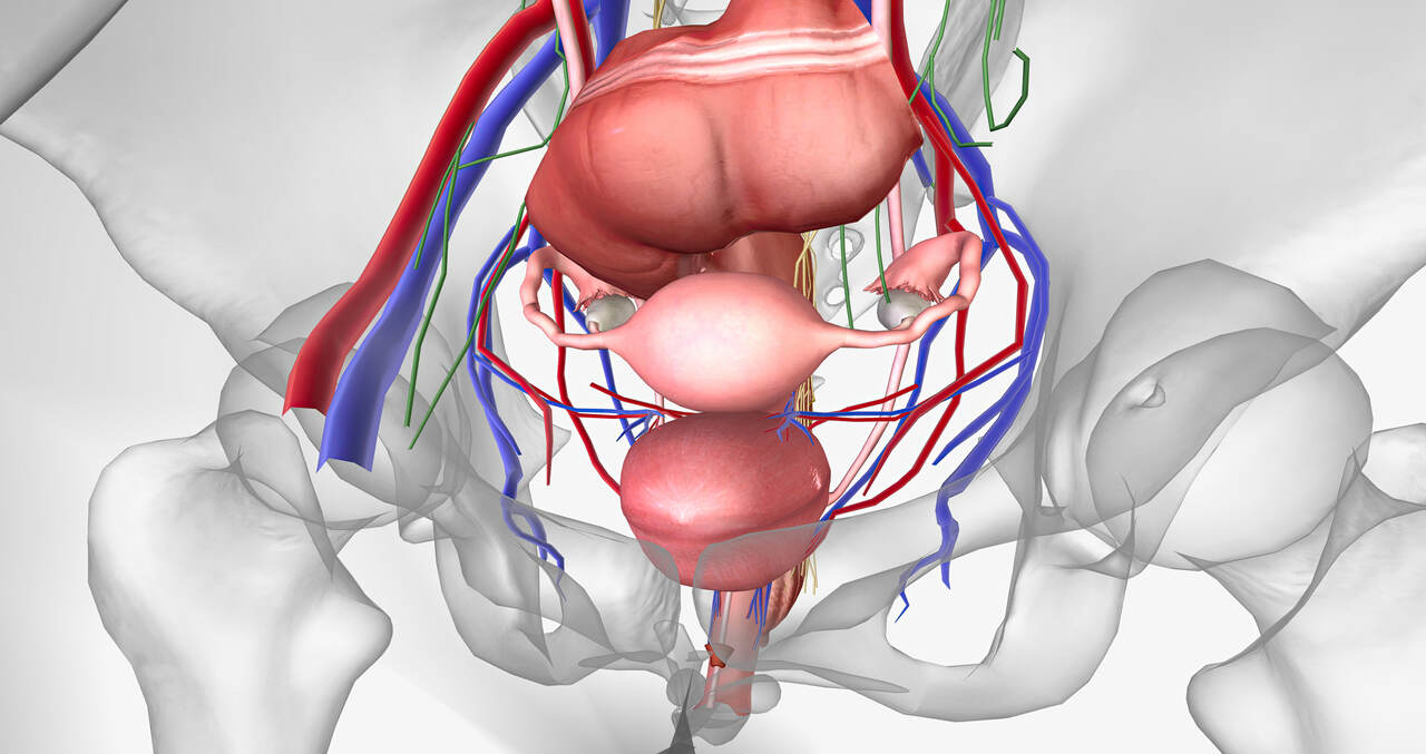 Urologia Aparecida de Goiânia - Sintomas e tratamentos da bexiga neurogênica