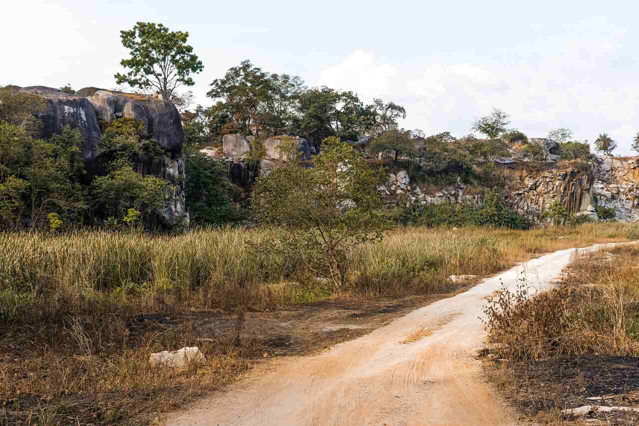 Jornal Opinião de Goiás - Ambientalistas denunciam desmatamento às margens de rodovia amazônica
