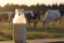 Jornal Opinião de Goiás - Divulgado índice de preços de derivados lácteos em julho