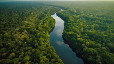 Jornal Opinião de Goiás - Resistência dos puyanawa resgata cultura e ajuda a proteger Amazônia