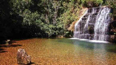 Fotos - Secom - Parque Estadual Serra de Caldas guarda riquezas hídricas preservação é tema de seminário internacional