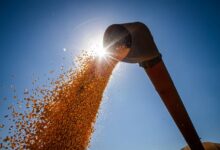 Goiás bate recorde na produção de grãos na safra 20222023