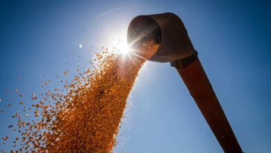 Goiás bate recorde na produção de grãos na safra 20222023