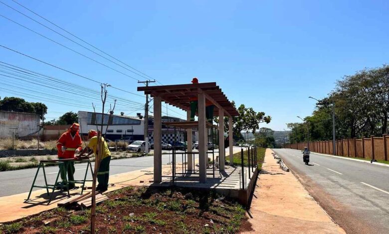 Prefeitura de Goiânia instala pergolados e renova paisagismo da Avenida Gameleira, no Jardim Brasil - Foto - Luciano Magalhães - Comurg