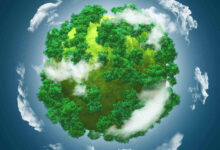 Recursos de Títulos Verdes Priorizarão o Meio Ambiente, Anuncia Governo Brasileiro
