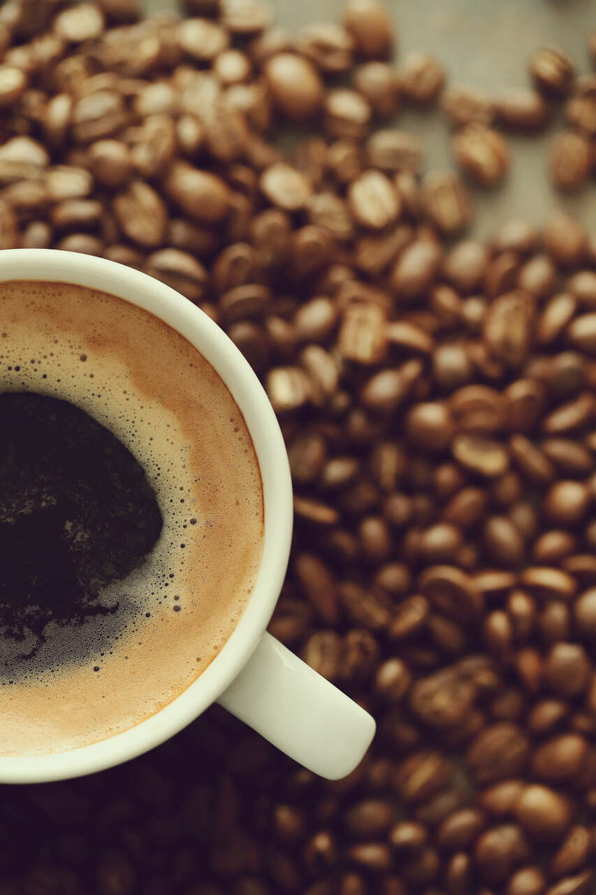 Zâmbia aprova importação de Café brasileiro Oportunidades em expansão para produtores