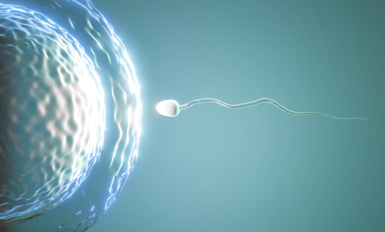 Urologia Goiânia - Varicocele: a doença silenciosa que pode causar infertilidade masculina