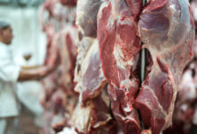 Brasil Celebra 50 Anos de Relações com a China 38 Novos Frigoríficos Habilitados para Exportar Carnes