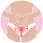 11 –Miomas uterinos quais os riscos na saúde da mulher