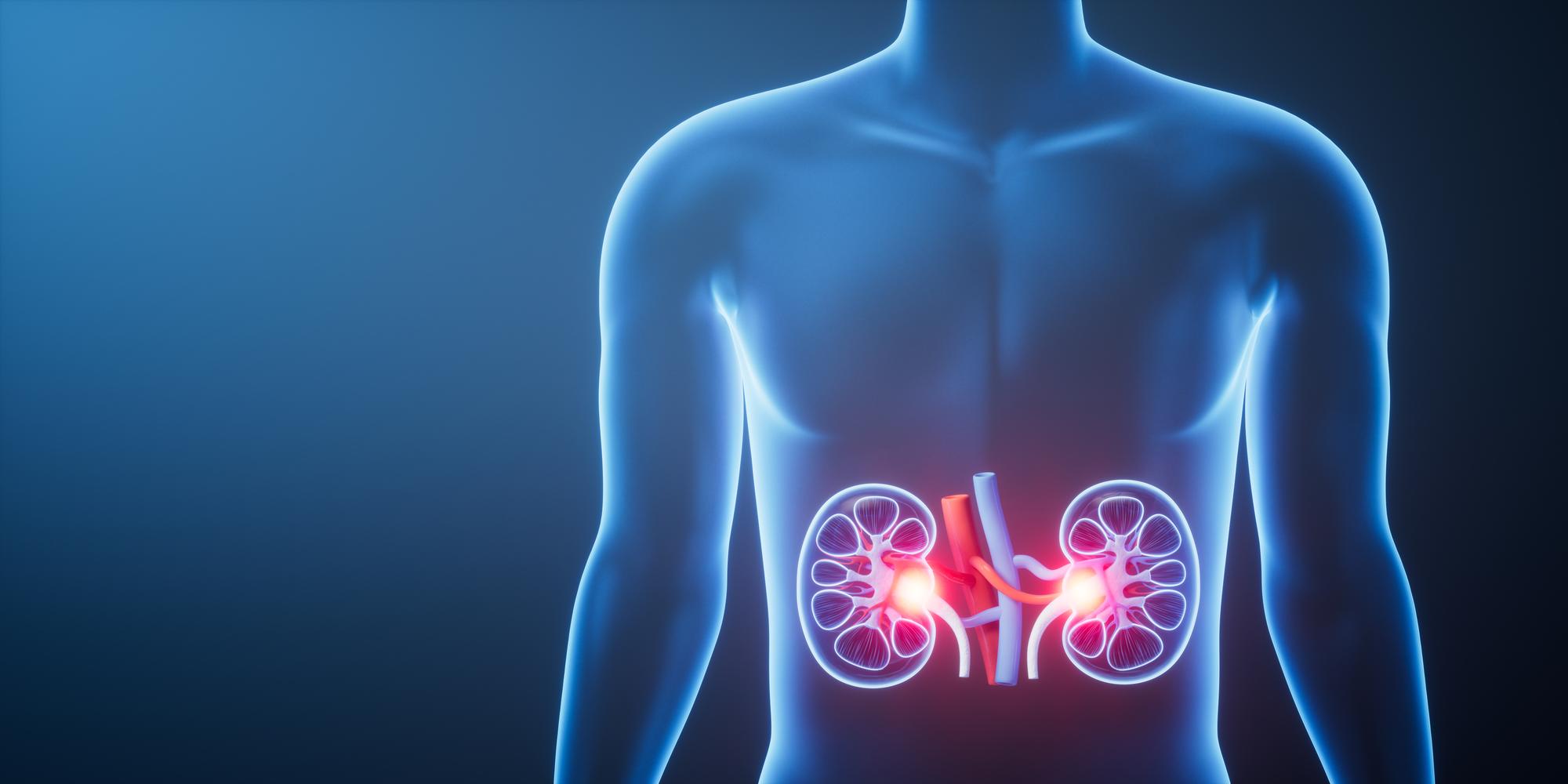 Fique atento a esses sinais! Pode ser câncer renal!