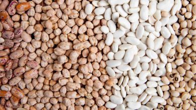 Abertura de Mercado Agropecuário na Costa Rica Oportunidade para o Feijão Brasileiro