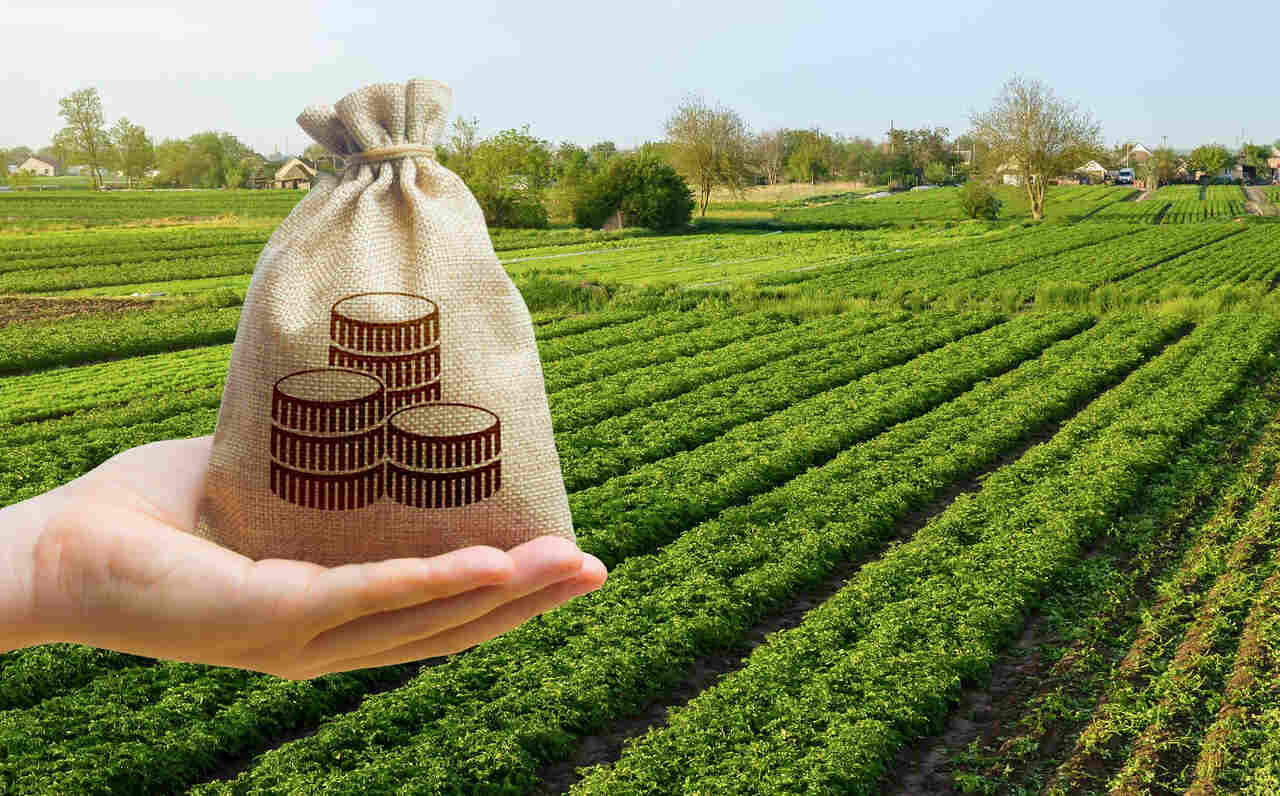 BNDES Aprova R$ 52,3 Bilhões para o Agro em 2024 Crescimento de 26% em Relação ao Ano Anterior