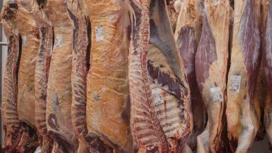 Brasil Avança com Abertura de Novos Mercados para Exportações de Carne Suína e Aves