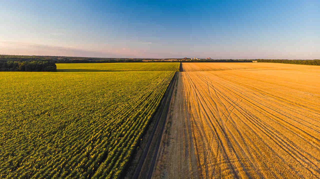 Brasil Conquista Abertura de Mercado na Nigéria e Fortalece Presença no Mercado Africano