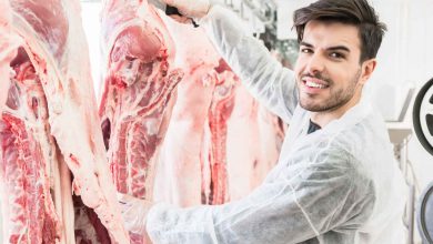 Brasil Conquista Abertura de Mercado para Carne Suína e Aves na Arábia Saudita e Turquia