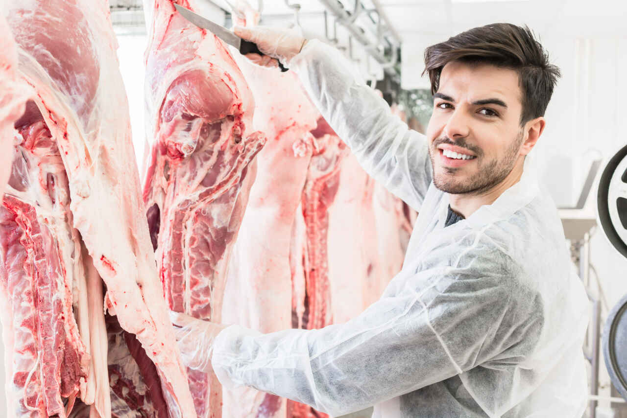 Brasil Conquista Abertura de Mercado para Carne Suína e Aves na Arábia Saudita e Turquia