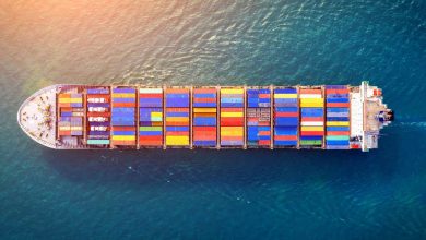 Brasil Conquista Novas Aberturas de Mercado nos Estados Unidos e Amplia Exportações Agropecuárias
