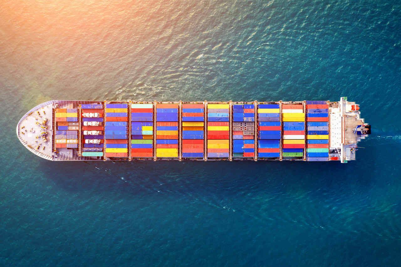 Brasil Conquista Novas Aberturas de Mercado nos Estados Unidos e Amplia Exportações Agropecuárias