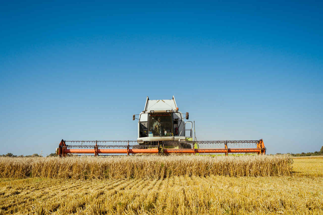 Brasil Consolida Suas Exportações com Novas Aberturas de Mercado nos Estados Unidos