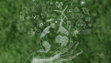 Brasil Lança Plataforma AgroInsight para Impulsionar Exportações e Conectar Produtores ao Mercado Global
