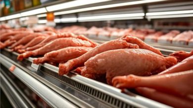 Brasil expande exportação de carne bovina e conquista novo mercado no Butão
