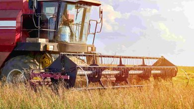 Governo Federal lança programa para impulsionar mecanização e sustentabilidade na produção agrícola