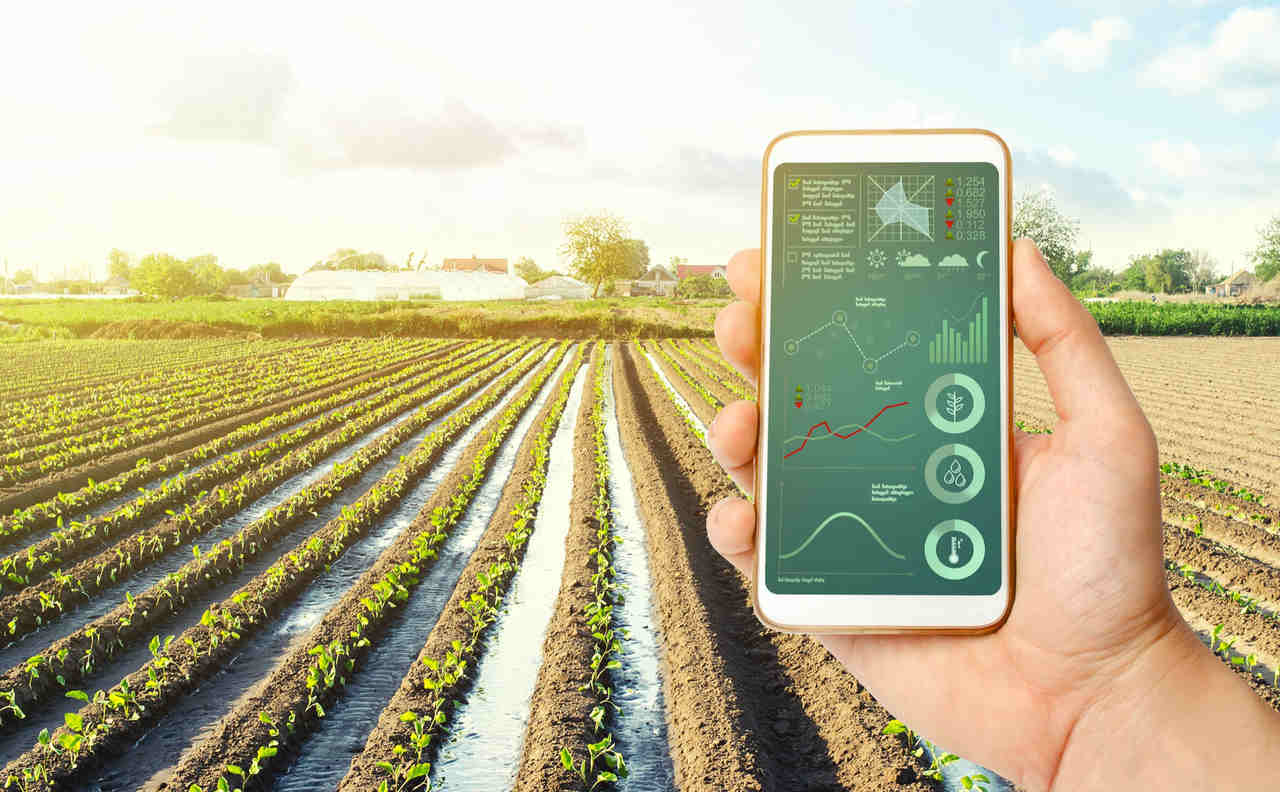 Mapa Lança AgroInsight para Impulsionar Exportações e Fortalecer o Agronegócio Brasileiro no Mercado Global
