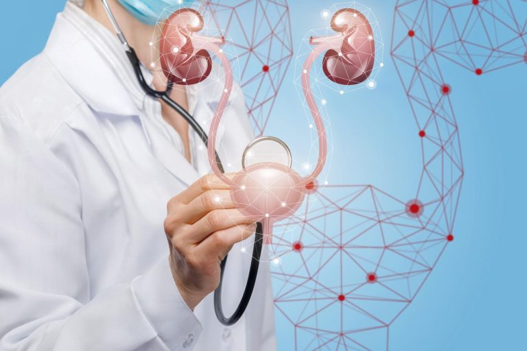 Saúde dos rins e da próstata: como prevenir doenças urológicas com atitudes simples